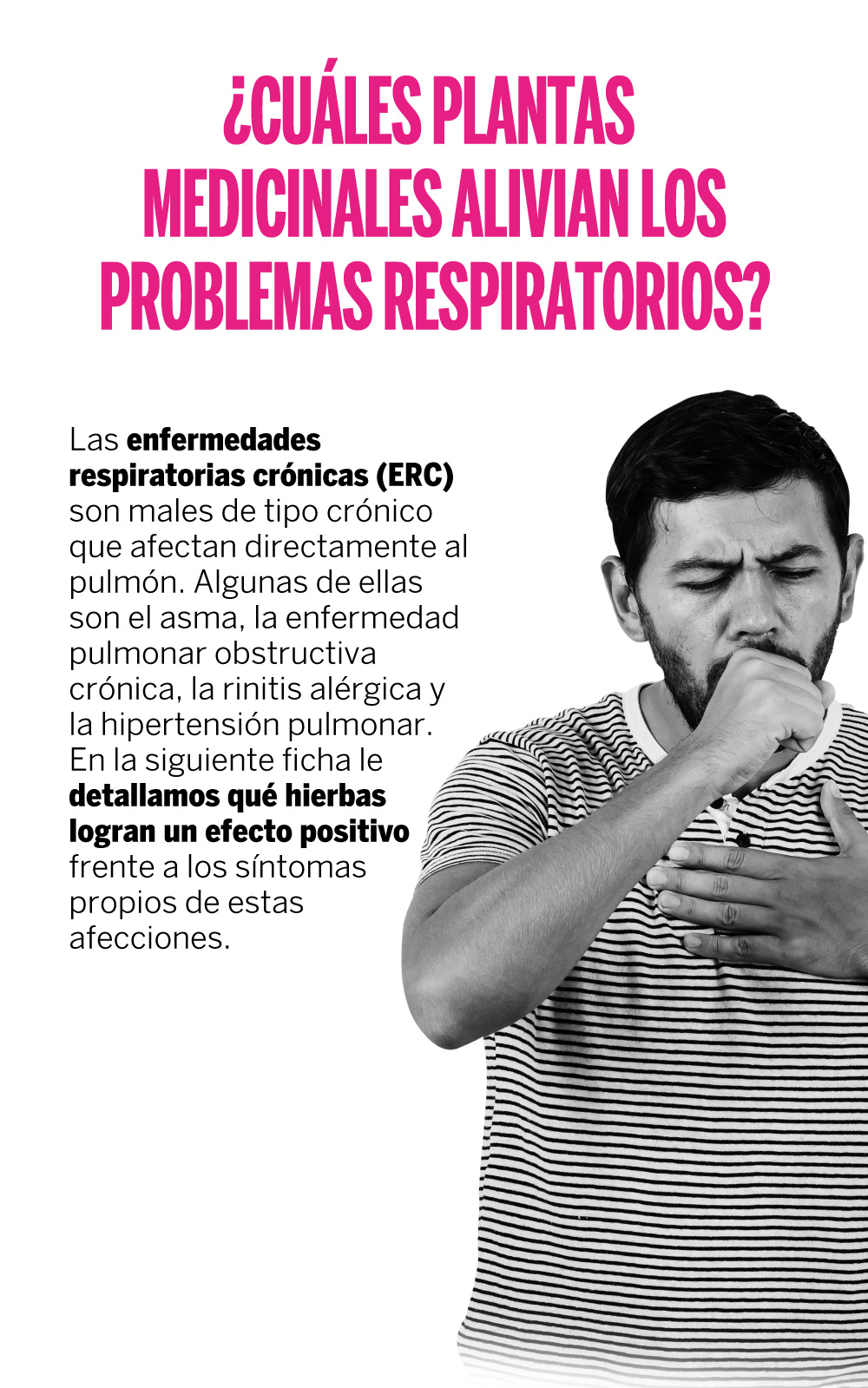 “Con este cambio de clima, tenemos que cuidarnos de los problemas respiratorios; sin embargo, ¿cómo hacerlo? Aquí te contamos los beneficios de las plantas medicinales para esto.