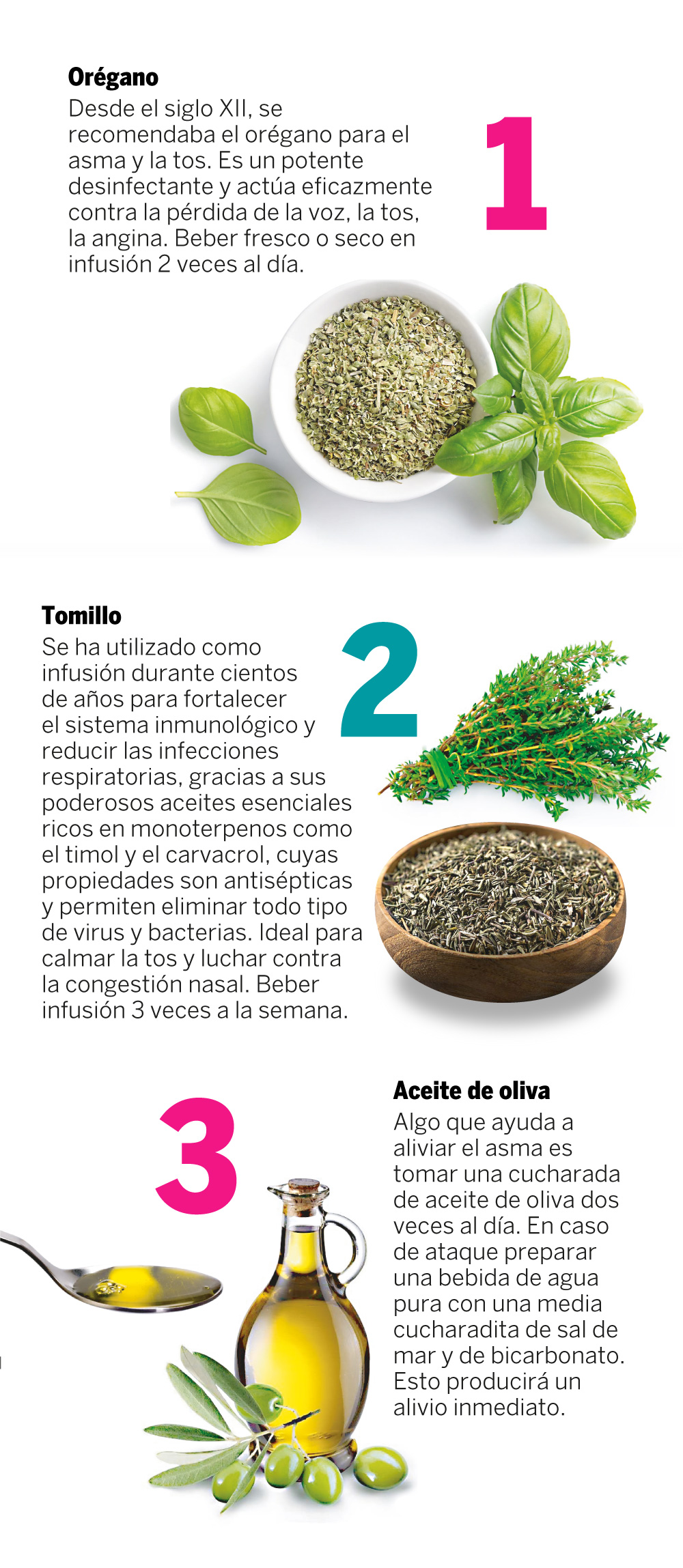 “Con este cambio de clima, tenemos que cuidarnos de los problemas respiratorios; sin embargo, ¿cómo hacerlo? Aquí te contamos los beneficios de las plantas medicinales para esto.